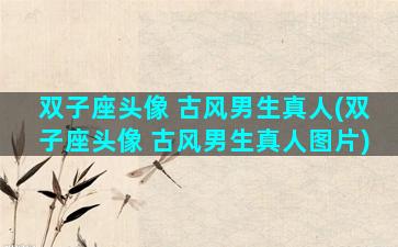 双子座头像 古风男生真人(双子座头像 古风男生真人图片)